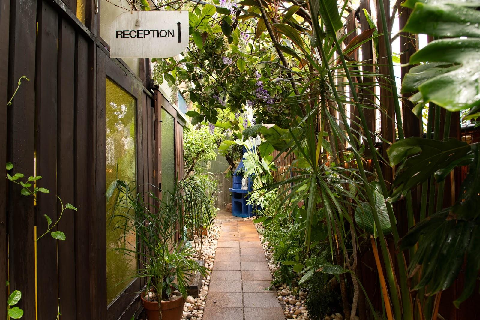 The planted entrance walkway at Dreamcatcher, the Dreamers Welcome boutique hotel in Ocean Park, San Juan.