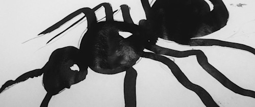 26758448 10155867637129404 4929796517133960497 o