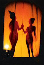 684354228 91f67dba52 o