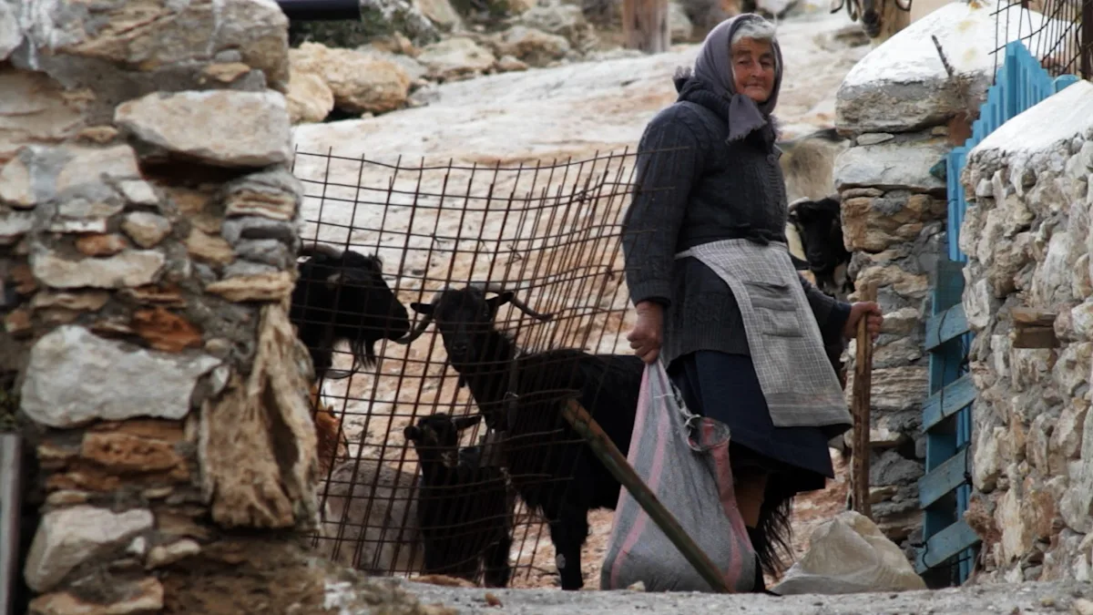 Yiorgos_of_Kedros_still_2