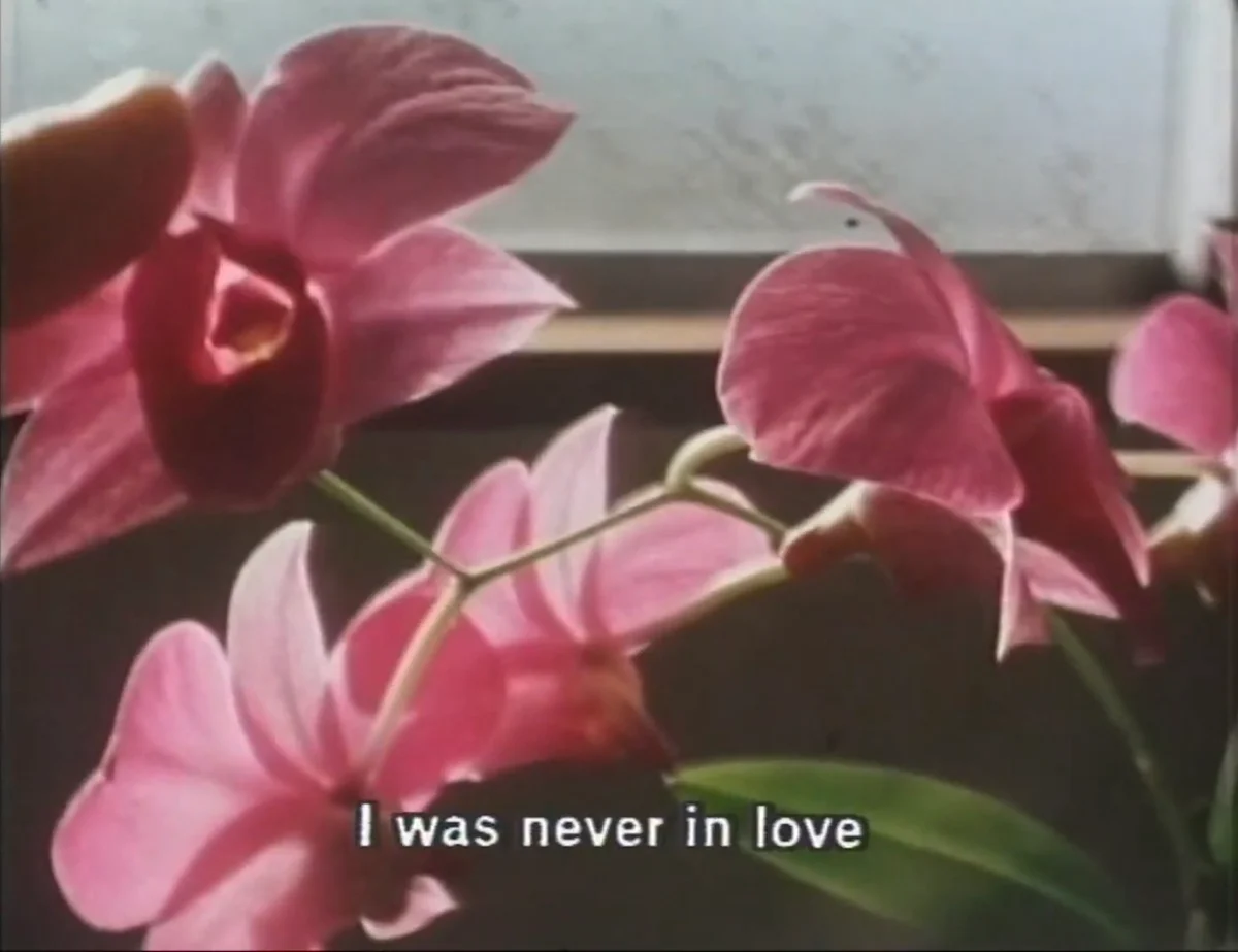 the-flower-from-the-sea---1994-miho-nagaya-v0-iua0csujgvge1