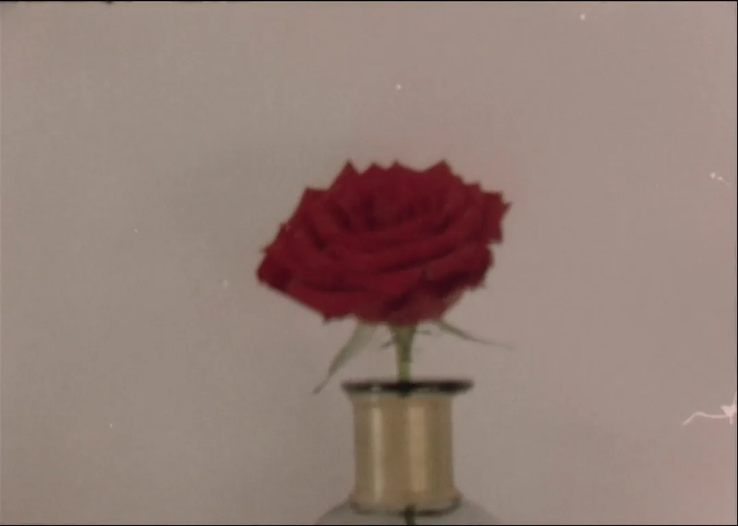 Screenshot_43-282-29