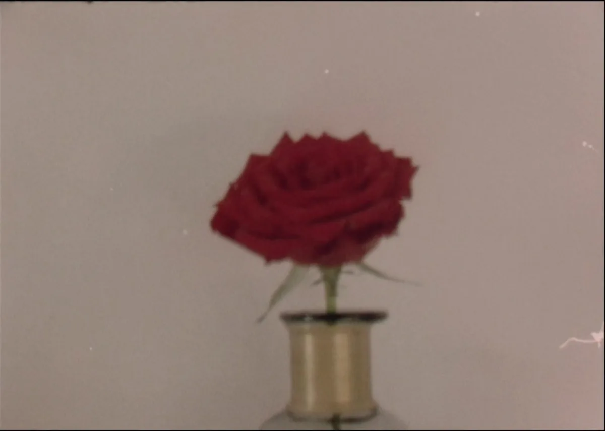 Screenshot_43-282-29