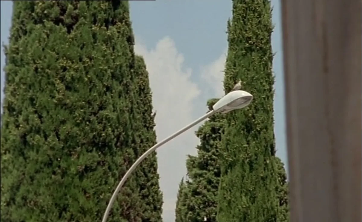Screenshot_3