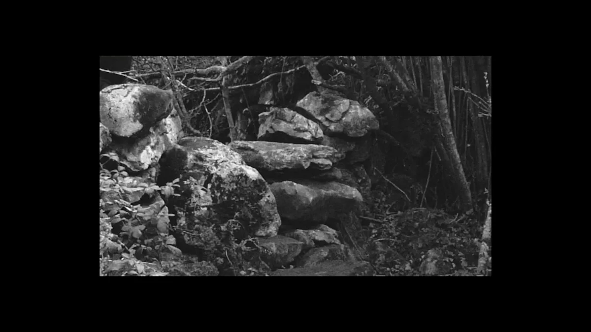 The-Lie-of-the-Land-02