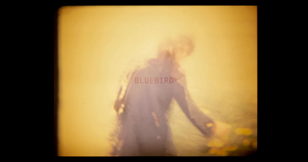 card-2.03_37_36_04.Still001