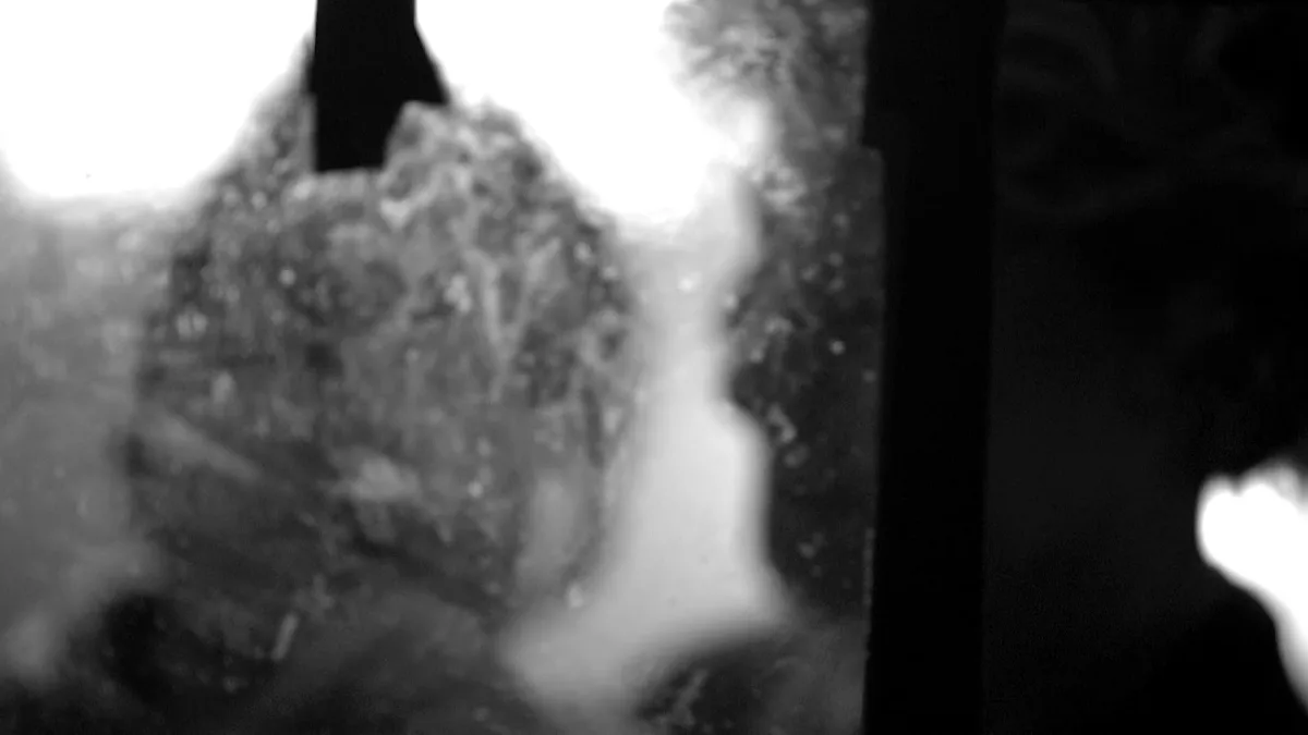 vlcsnap-2024-04-07-13h30m53s218