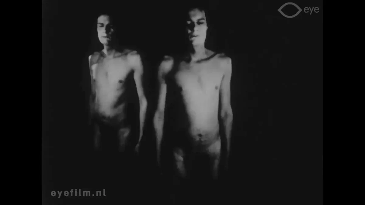 vlcsnap-2025-02-09-19h23m37s467