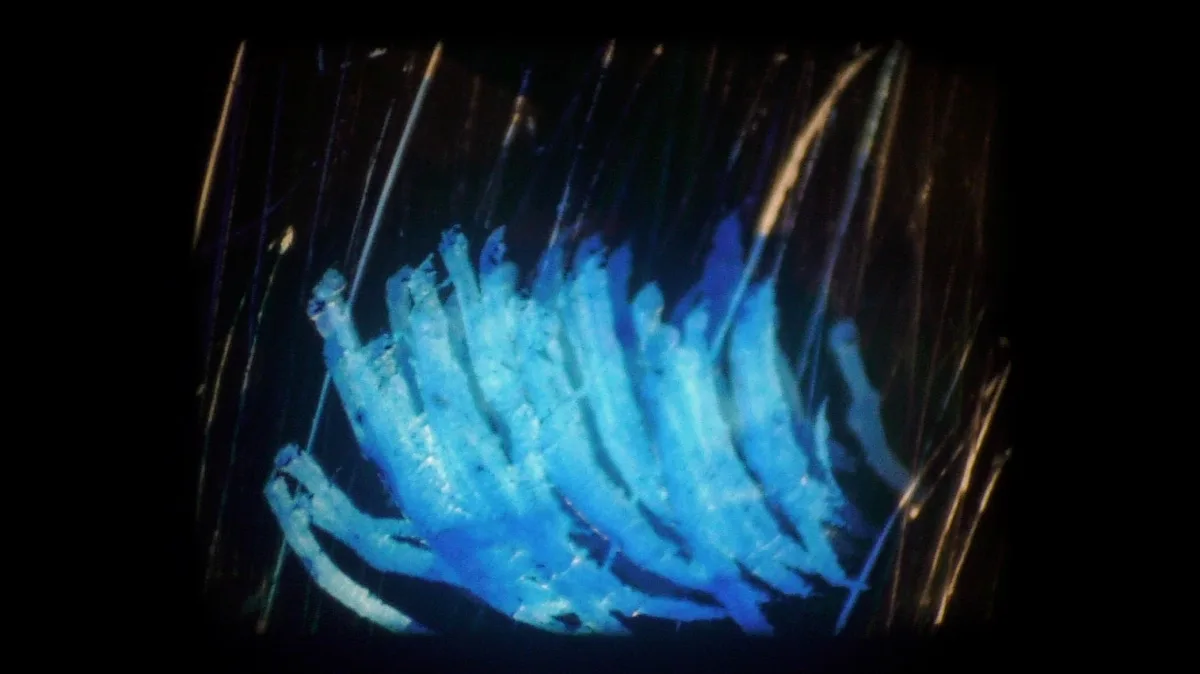 cigarroazul_frame_01