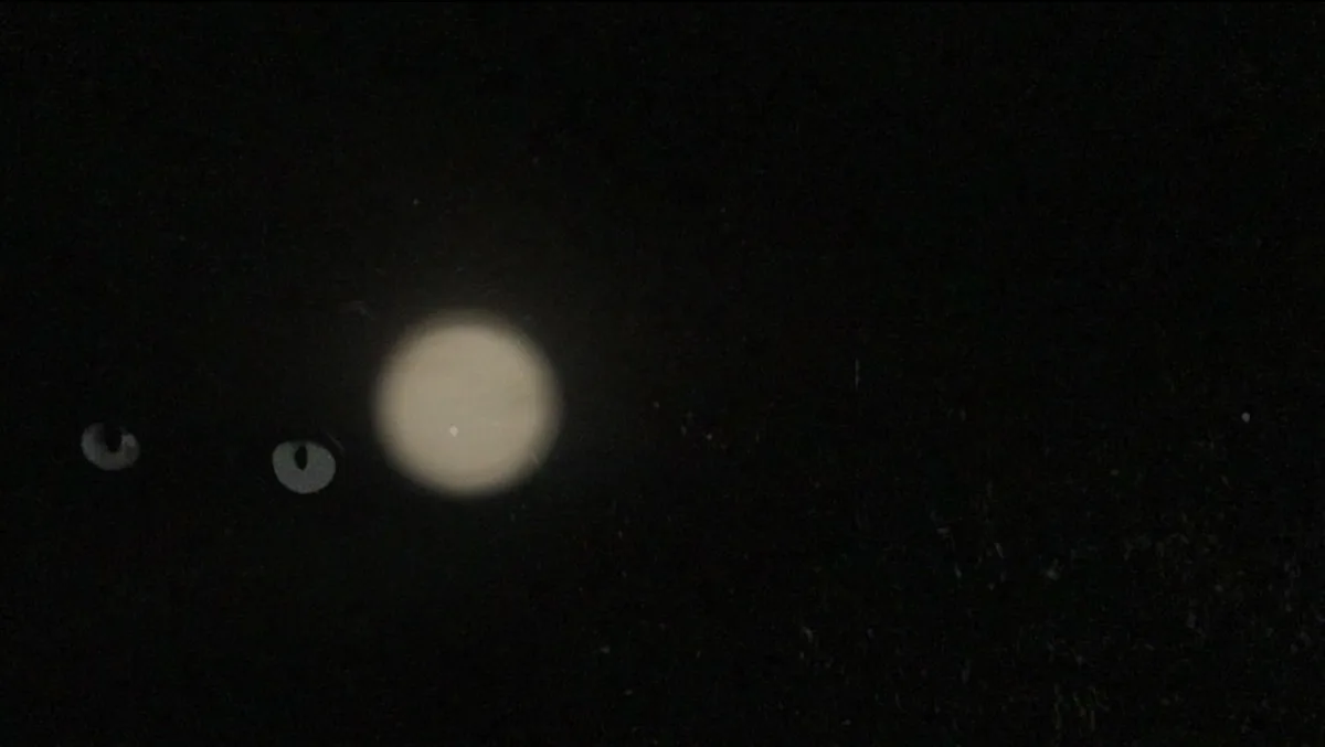 Screenshot_59