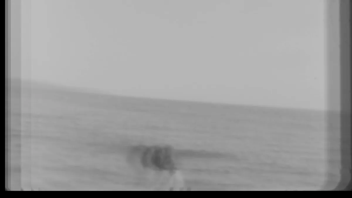 vlcsnap-2024-12-10-13h46m26s798