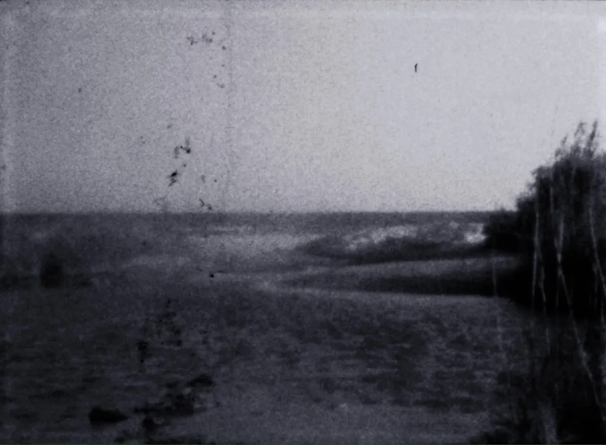 still-5_RAIN