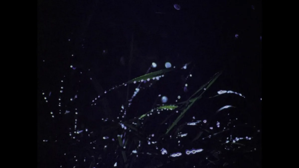 vlcsnap-2023-03-05-13h37m10s035