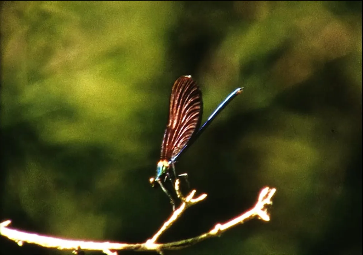 Screenshot_258