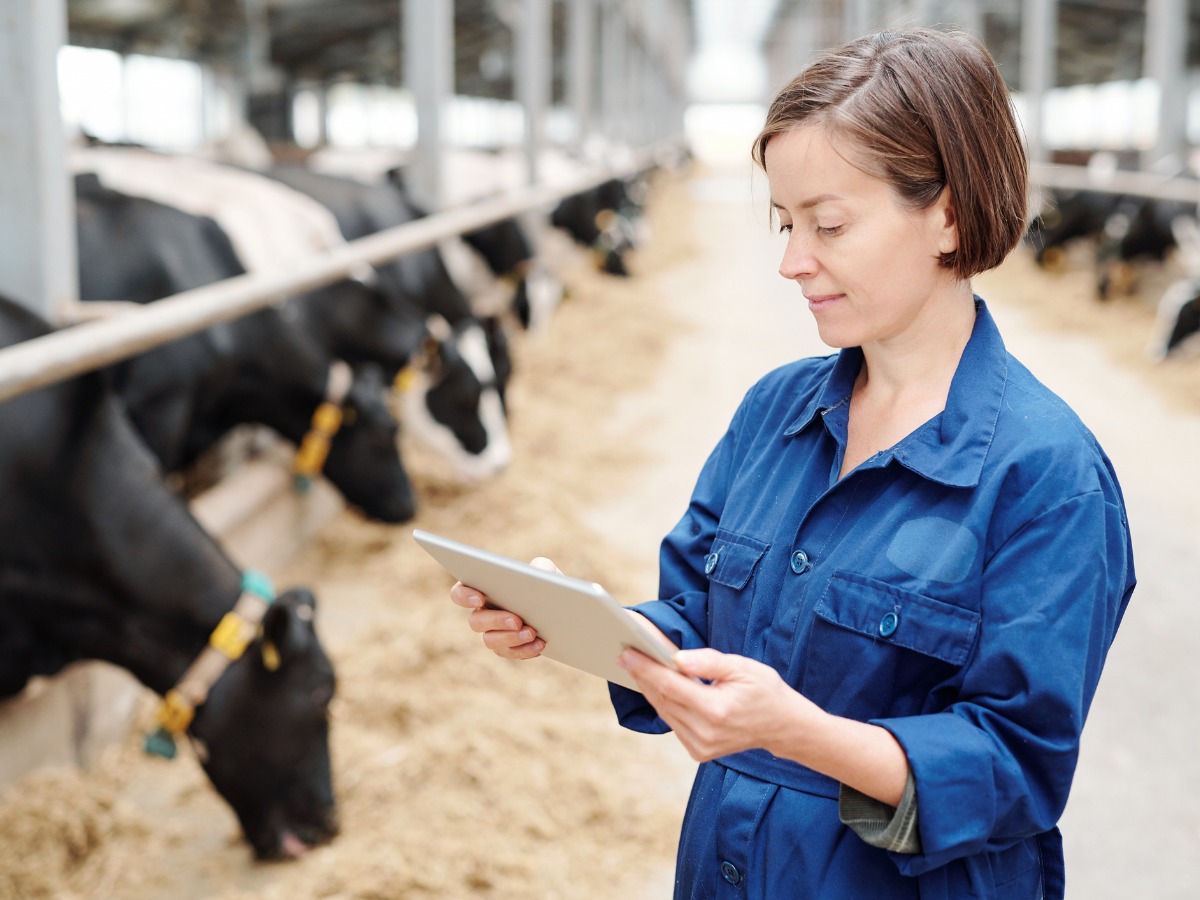 serious-young-female-worker-of-animal-farm-in-uniform-using-touchpad-picture-id1174489944