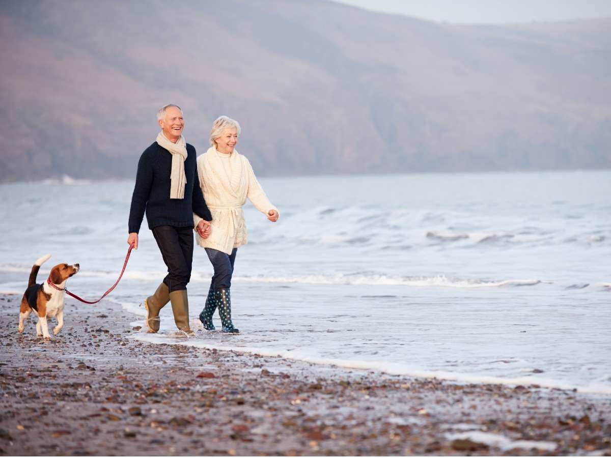 senior-couple-walking-along-winter-beach-with-pet-dog-picture-id502684345