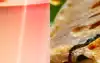 Infrared heating element glowing red above a roast chicken inside an air fryer, next to crispy quesadillas and the Tefal Infra Heat™ logo.