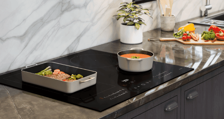 Induction cooktop with a pot that has soup in it and another dish that has some meat and vegetables.  