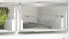 Bosch Fridges