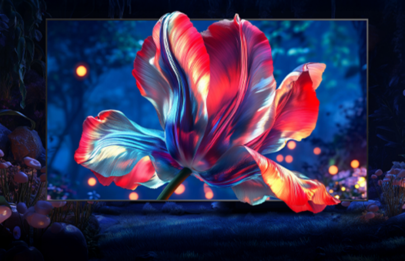 Hisense QLED TV in living room