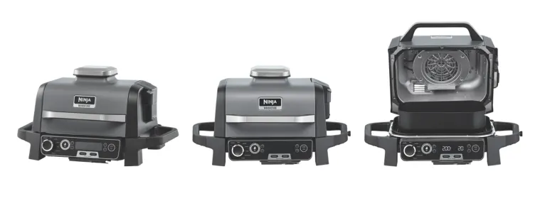 Product image of the Ninja Woodfire Electric BBQ Grill and Smoker With Smart Probe