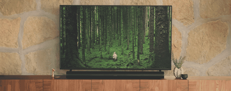 A Sonos Arc soundbar is connected to a TV playing a movie in a forest