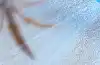Smart object detection with the DEEBOT X12S OmniCyclone, available at The Good Guys.