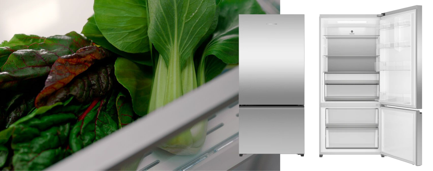 Fisher & Paykel 515L Bottom Mount Refrigerator