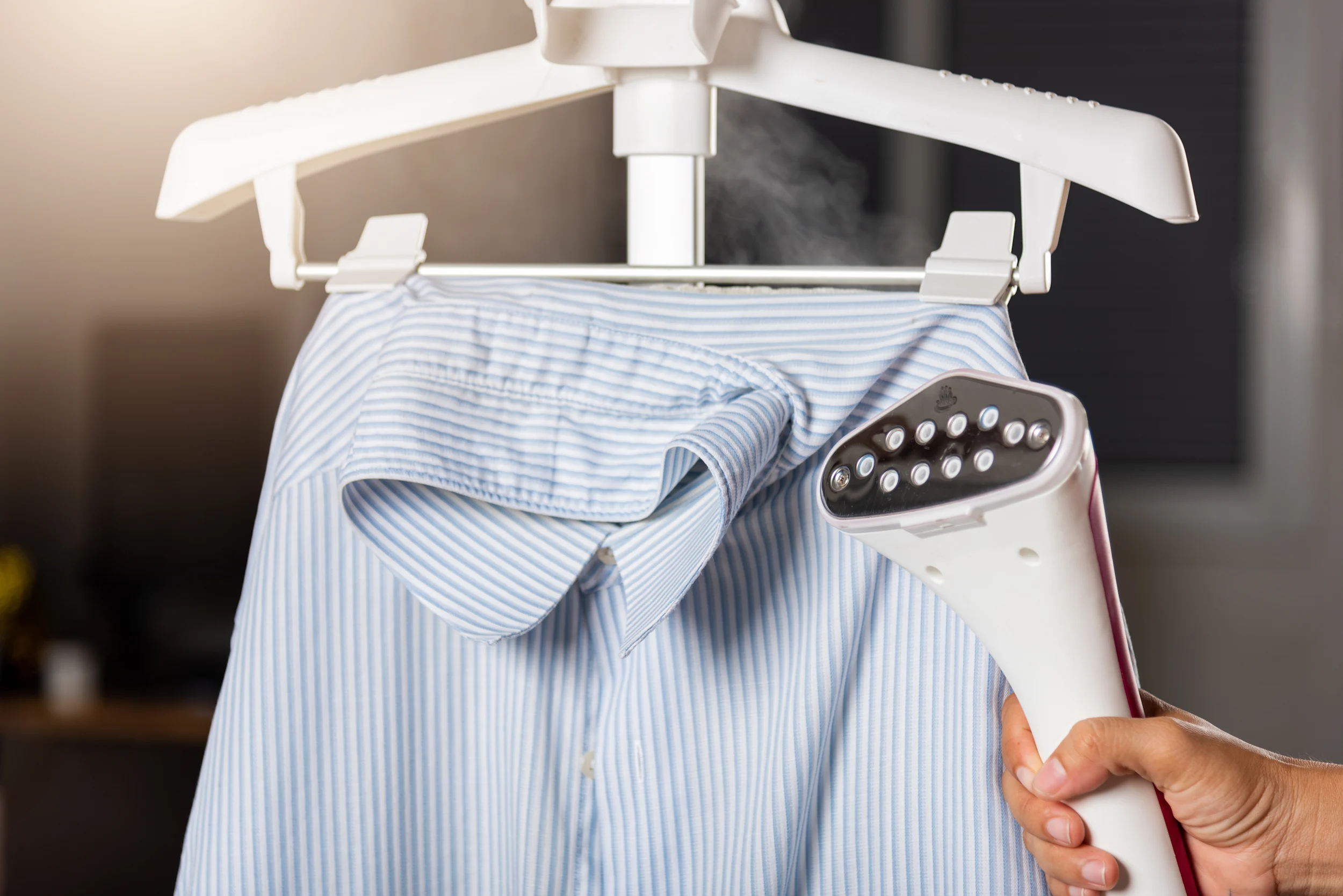 Garment steamer image