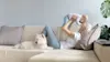 Air Purification - The Good Guys