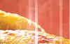 Glowing infrared heating element above a golden roast chicken, showing heat surrounding the food from top to bottom.
