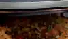Image of the Ninja Crispi Pro cooking up a roast chicken in 5.7L glassware