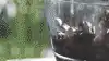 Man pouring beans into his manual De'Longhi machine.