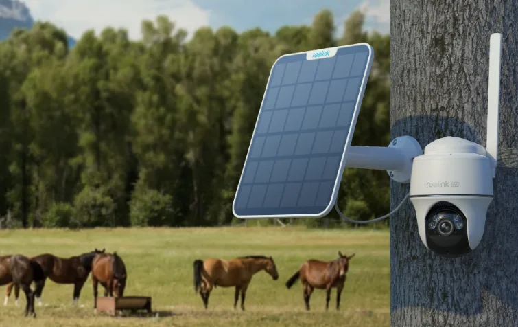 Reolink Camera and Solar panel mounted on a tree with horses in the background