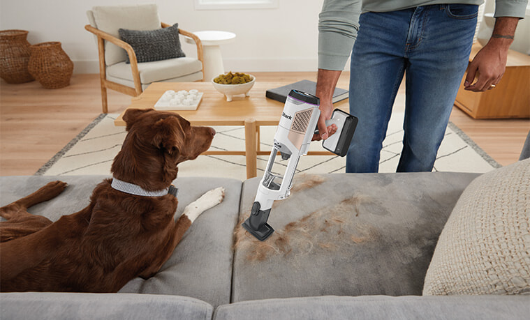 Shark auto detect vaccum being used to clean dog hair off a couch 
