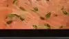 Sous Vide Mastery Image
