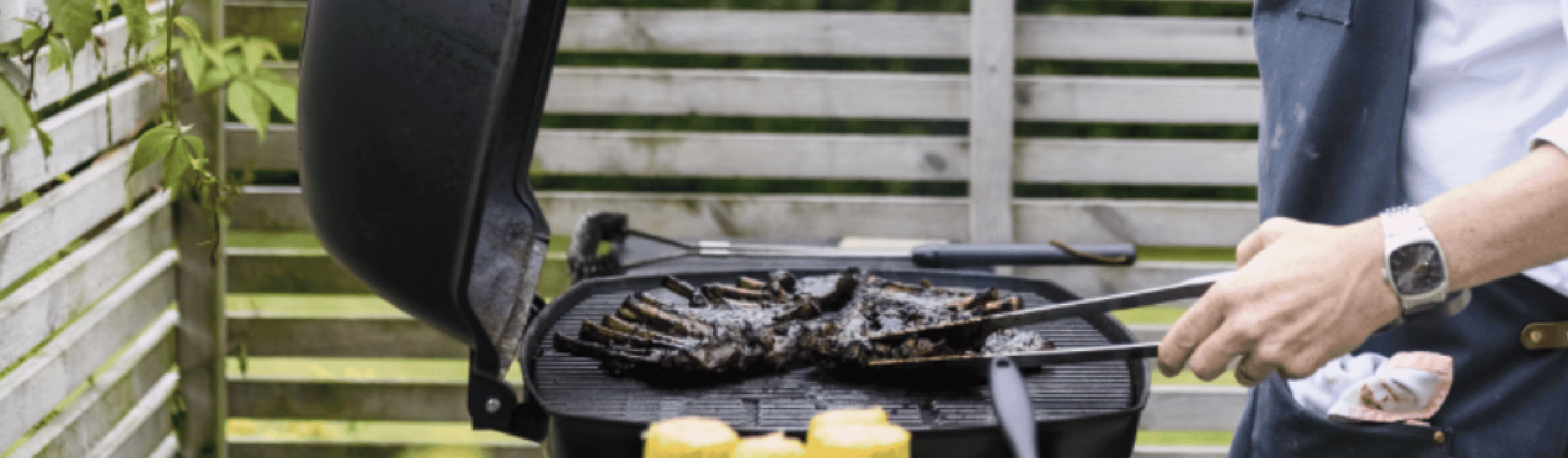 image - BBQ Buying Guide 1