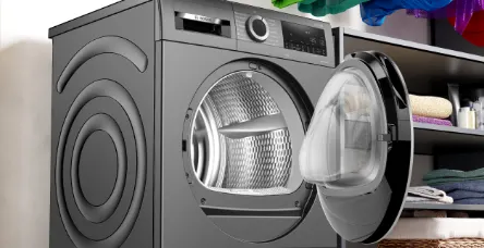 Graphite Bosch dryer in laundry.