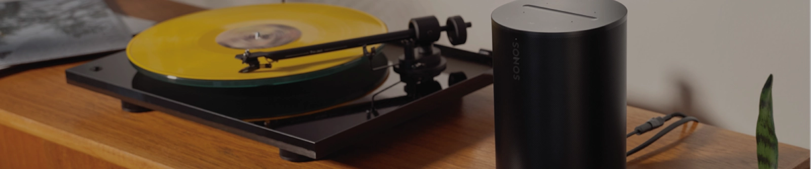 Wireless Speaker Buying Guide