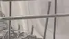 A person uses the handles on the side of the top rack to lower the basket in their LG QuadWash dishwasher.