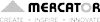 mercator greyscale logo