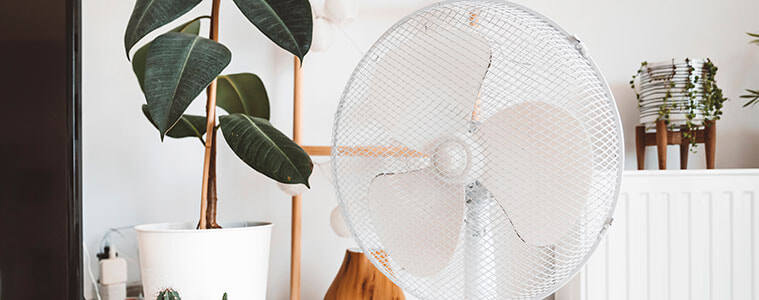Retro style pedestal fan in a living room with plants in the background