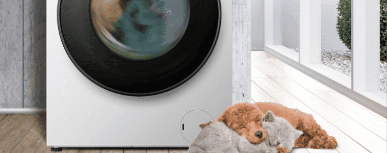 Hisense Dryer doing a gentle load to keep clothes soft with puppy and kitten sitting beside 