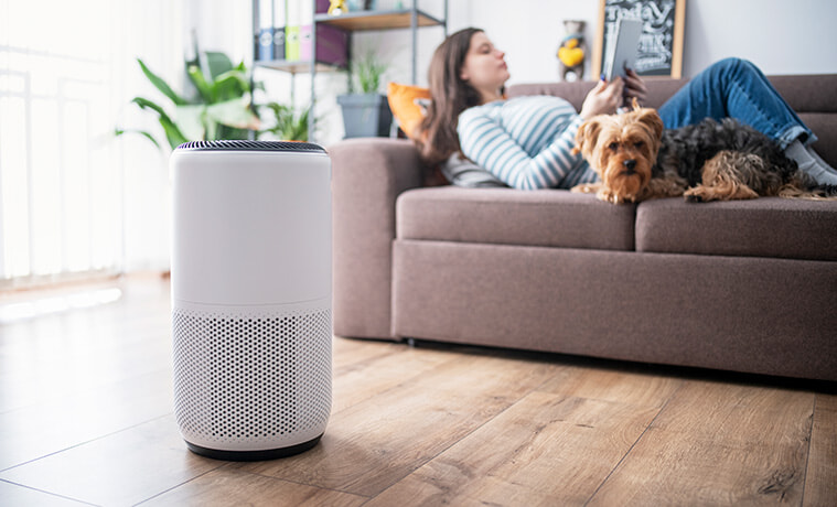 Woman using a digital tablet to set up a home air purifier in her living room
