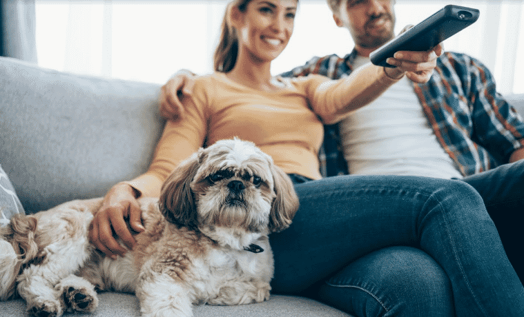 Young couple watches TV at home on the couch with their cute shih tzu dog