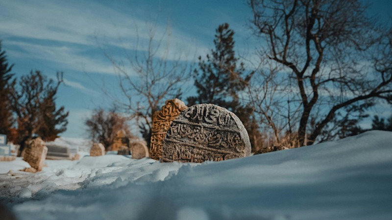 pexels-huseyi-n-avci-351050981-35844027