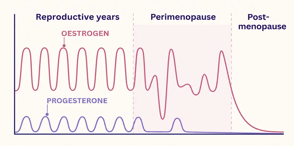 Chart of oestrogen and progesterone: regular cycles in reproductive years, erratic swings in perimenopause, then a steep fall after menopause