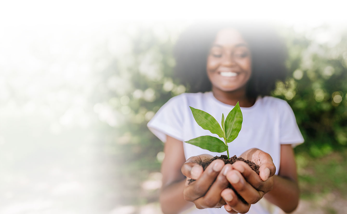 Financiamiento verde: una mirada a la sostenibilidad de los negocios