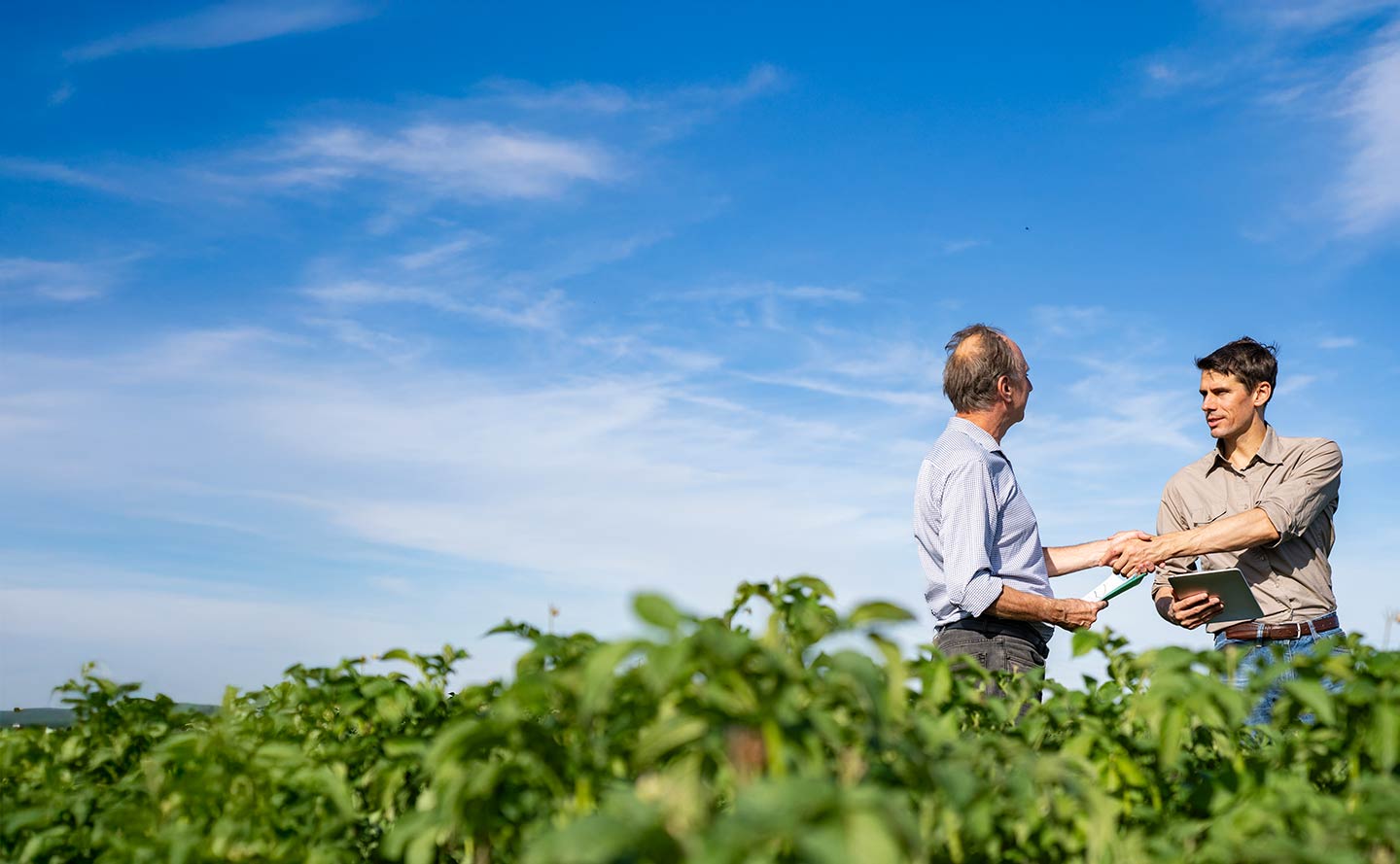 que-es-ibr-creditos-finagro