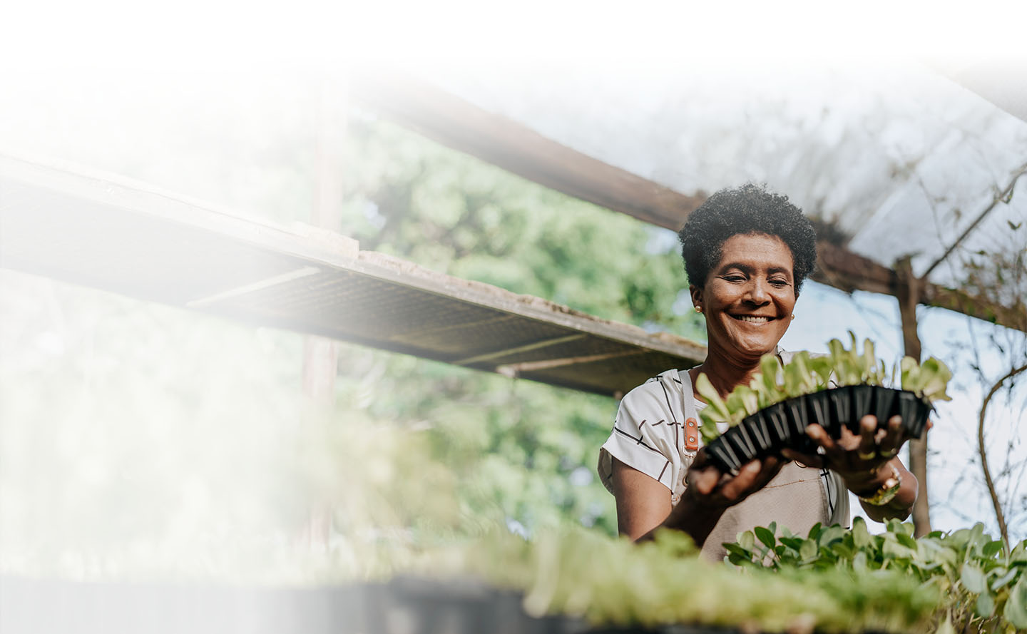El Valor Compartido beneficia las empresas